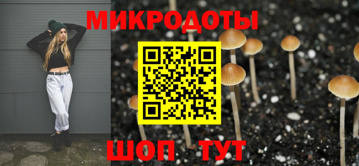 Галлюциногенные грибы мухоморы Ржев